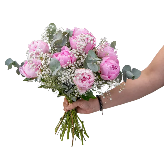 Kytice růžových pivoněk